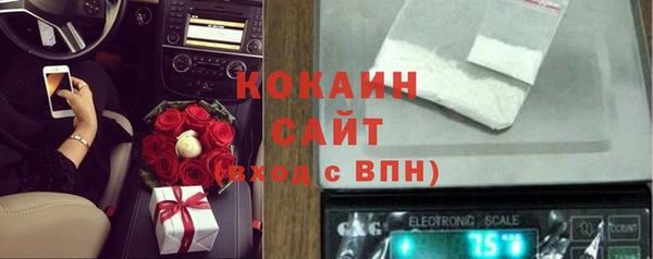 дживик Алзамай