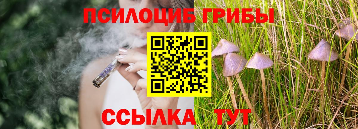 Псилоцибиновые грибы MAGIC MUSHROOMS Фролово
