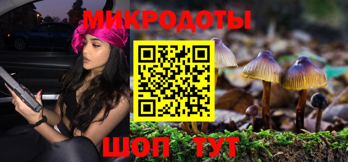Фролово  Галлюциногенные грибы Psilocybe  Вход с VPN 