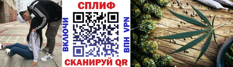 как найти закладки  Фролово  Бошки Шишки ГИДРОПОН 